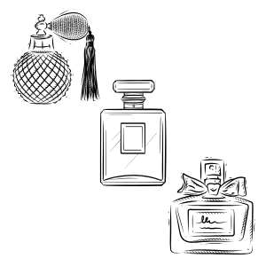 המדריך המלא לקטגוריות של בשמים: מתוקים, חריפים ועוד - MIST - הבושם שלך