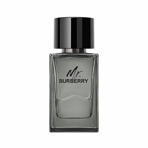 Tester - Burberry - Mr. Burberry EDT For Men 100ML
